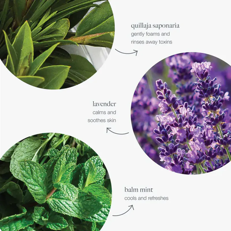 Special Cleansing Gel 250ml